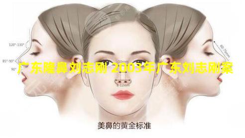 广东隆鼻刘志刚 2003年广东刘志刚案